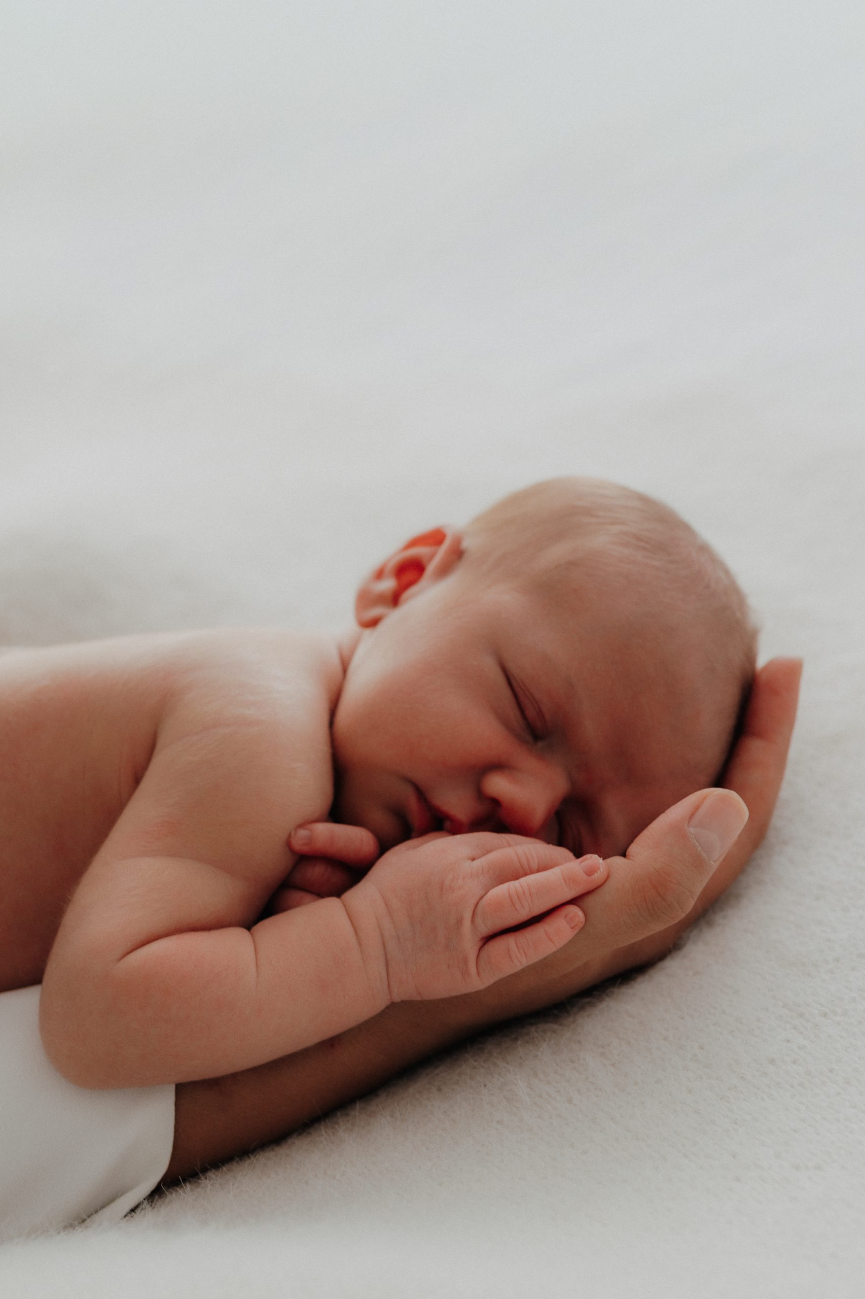 LisaStaedtlerFotografie_014