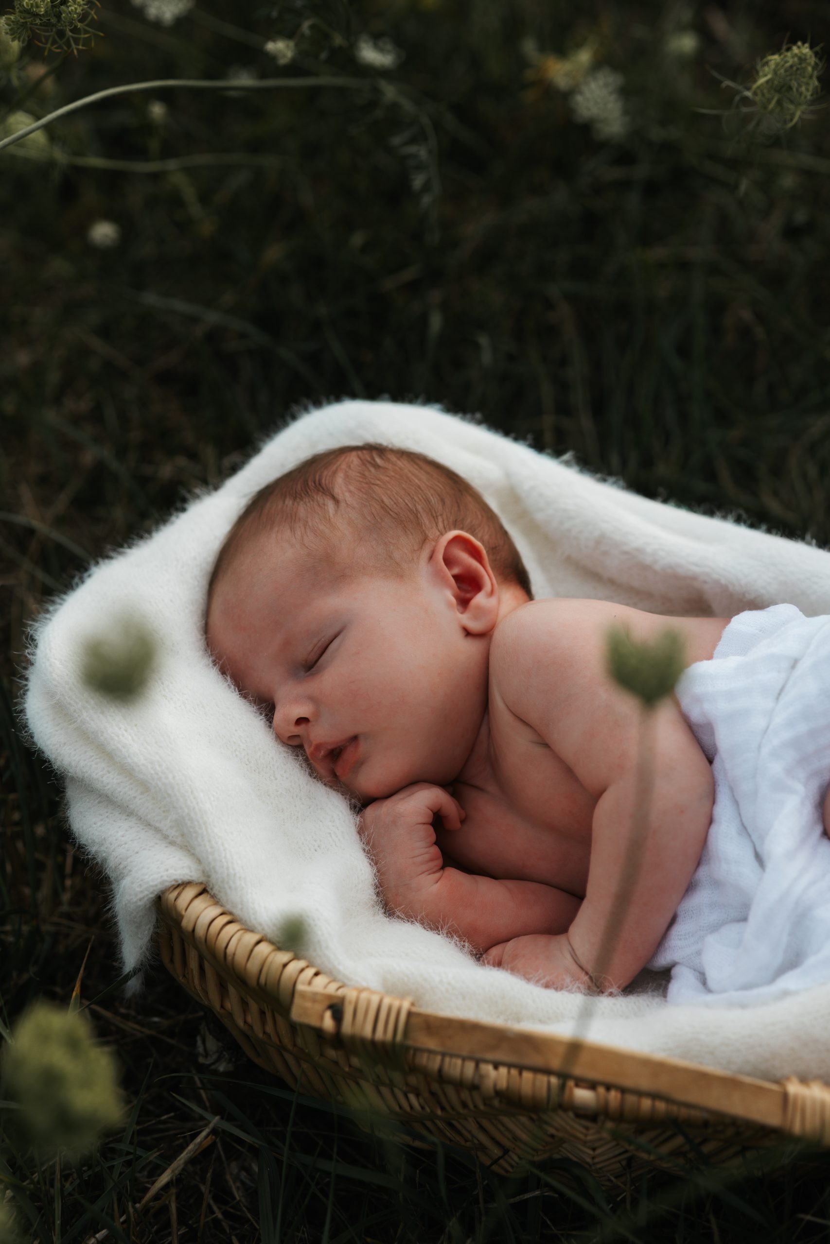 LisaStaedtlerFotografie_006