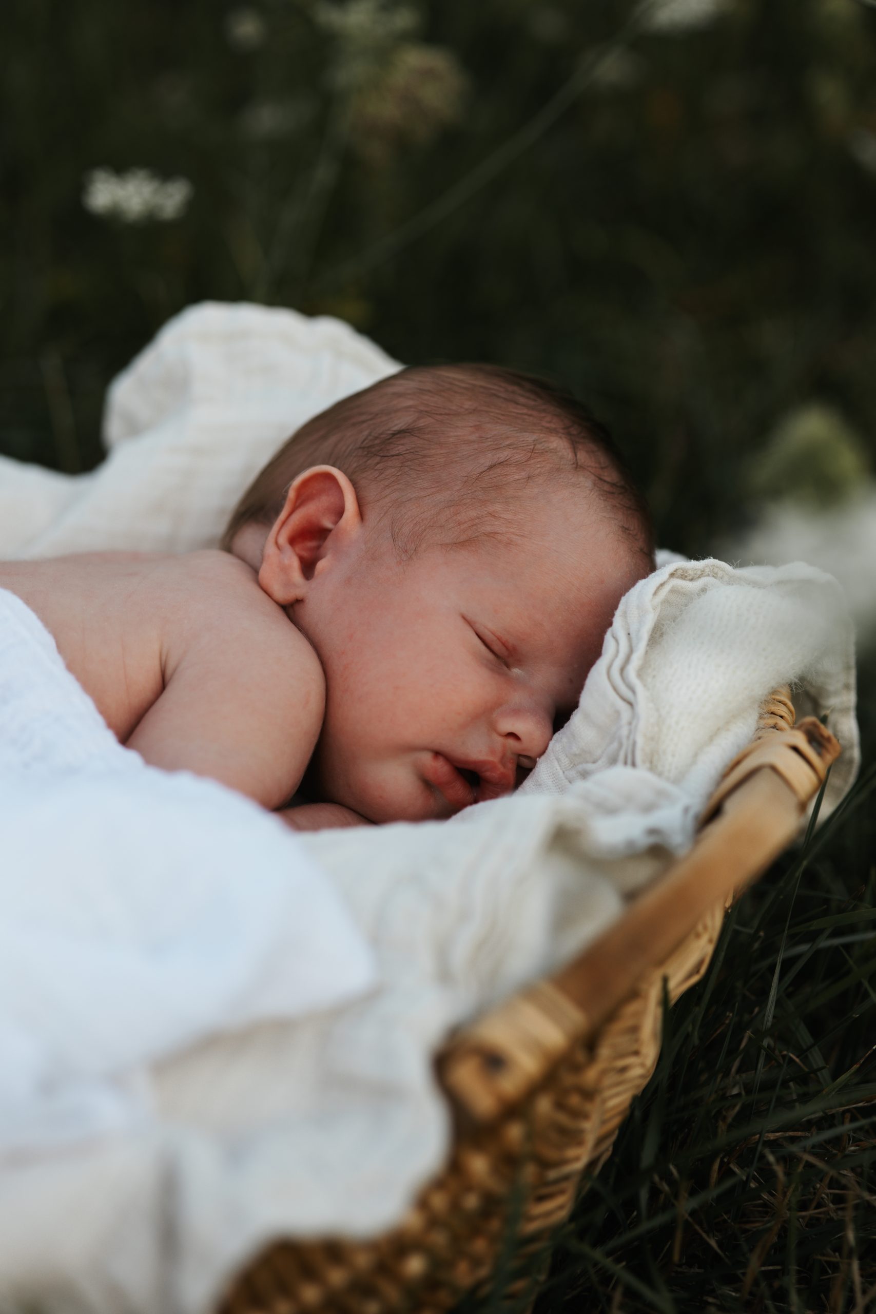 LisaStaedtlerFotografie_008